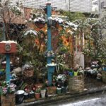 こんな日はコタツでぬくぬくしていたいのだ！