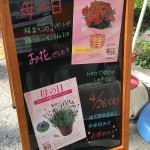 数字はなくても説得力のあるPOPコピー