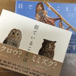 おばちゃんも走って学ぶGWの夜。