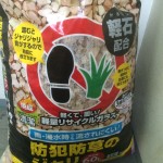 これだって立派なコトＰＯＰです！