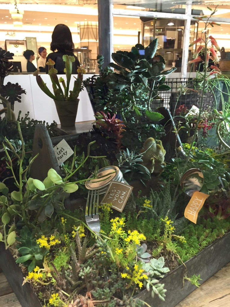 梅田阪急ディスプレイ5月