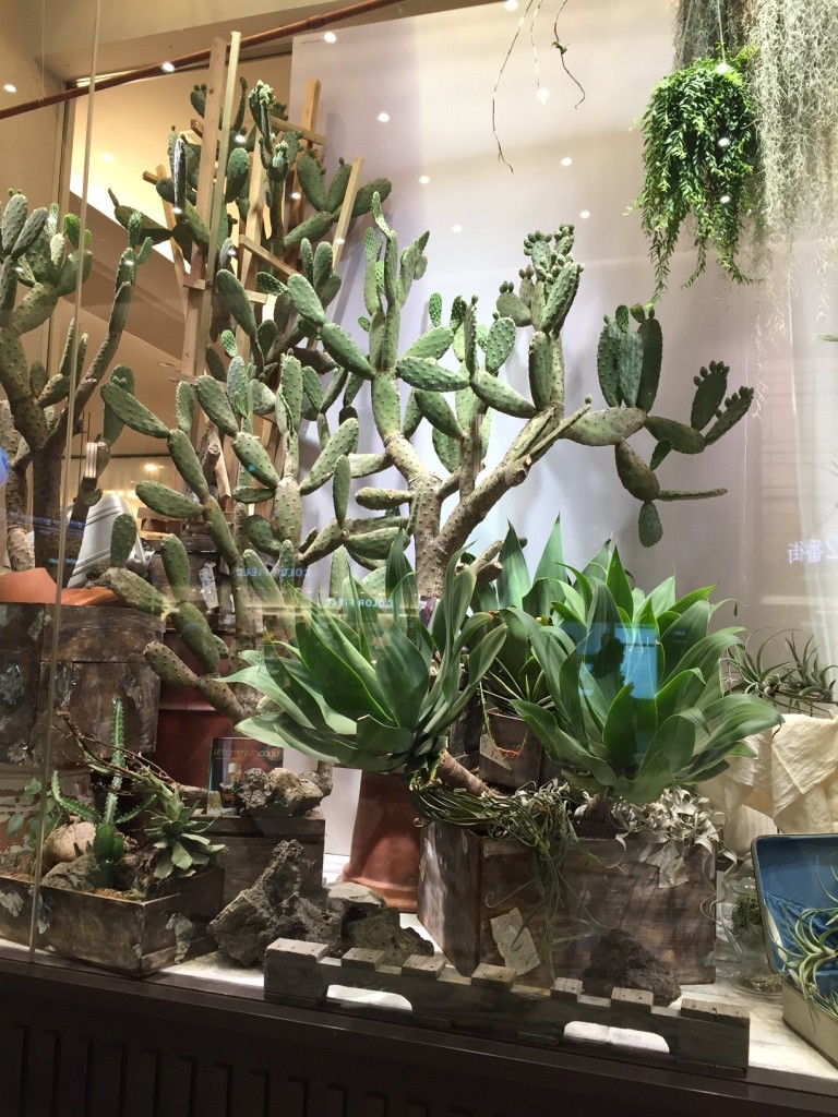 梅田阪急ディスプレイ5月